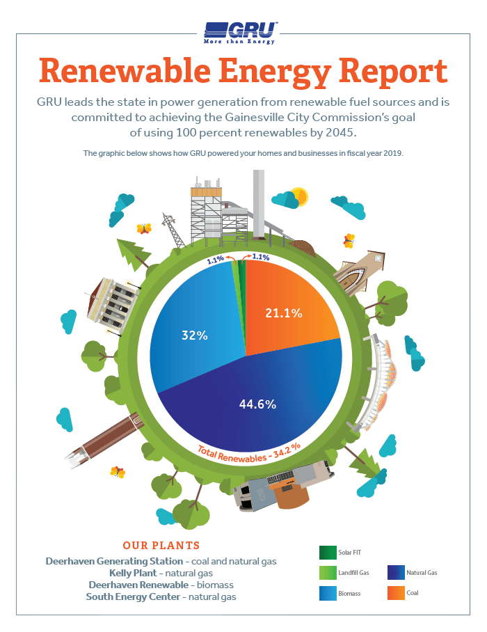 A breakdown of the sources of Gainesville's energy